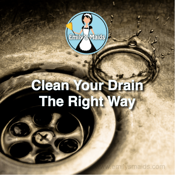 Clean Your Drain The Right Way Emily's Maids