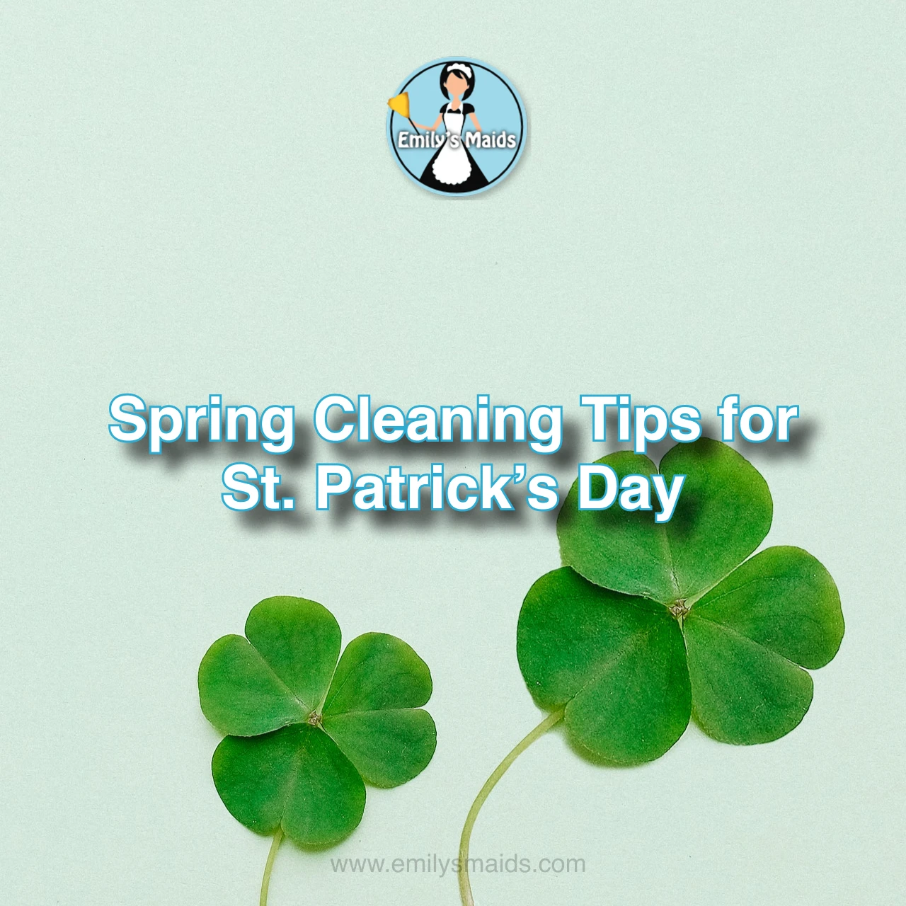 Square - Spring Cleaning Tips for St Patrick's Day - Emily's Maids of Dallas
