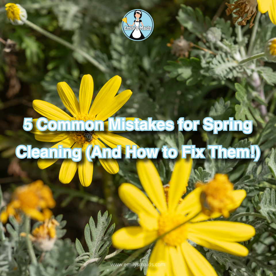 Square - 5 Common Mistakes for Spring Cleaning (And How to Fix Them!) - Emily's Maids of Dallas