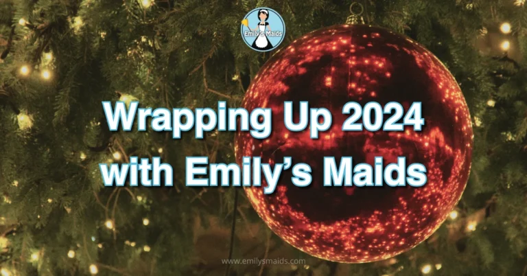Wrapping Up 2024 with Emily’s Maids - Article Cover