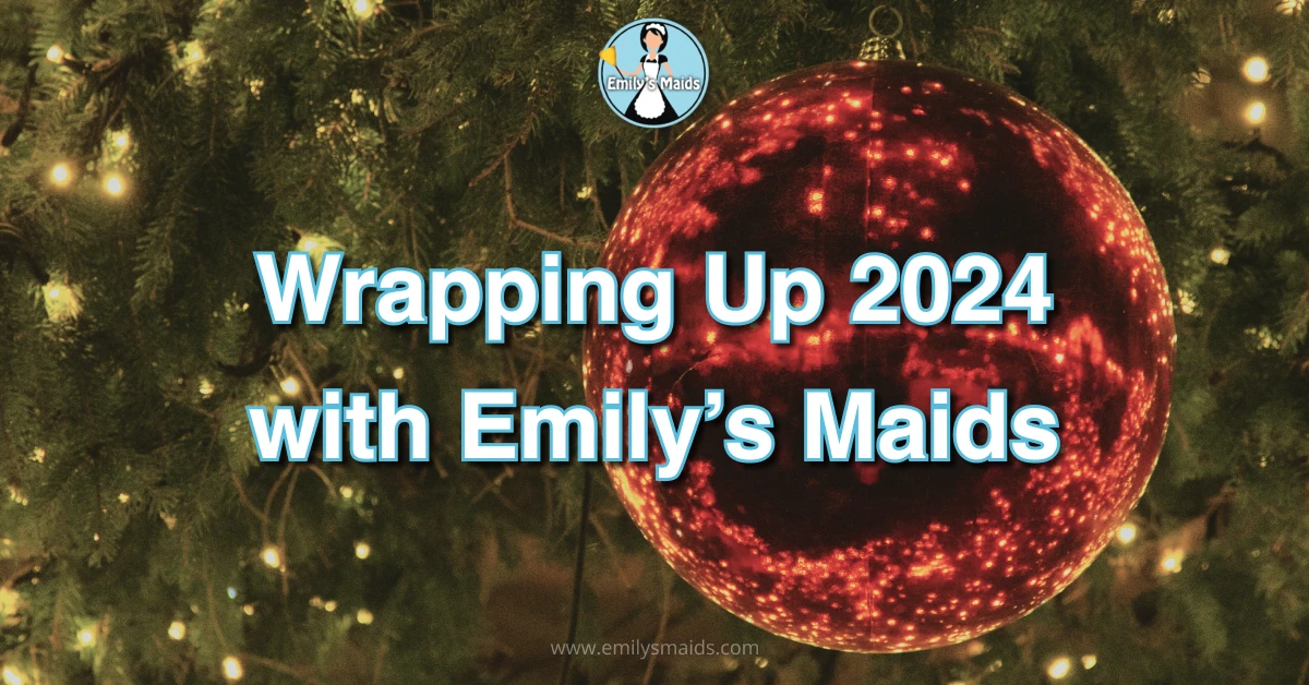 Wrapping Up 2024 with Emily’s Maids - Article Cover
